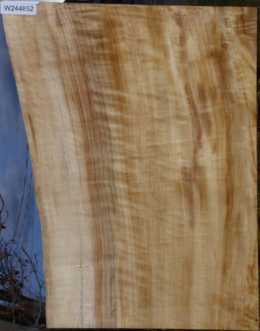 Figured Black Cottonwood Live Edge Lumber