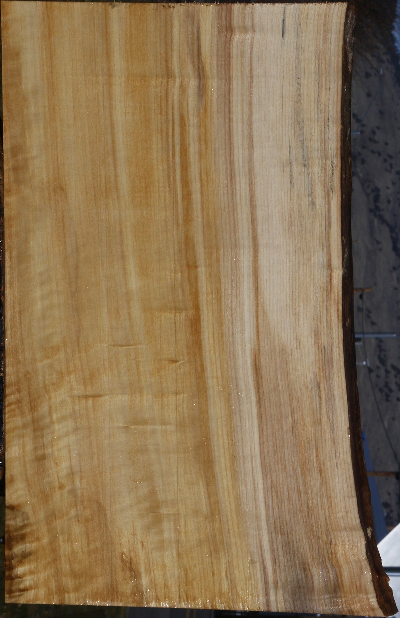 Figured Quartersawn Black Cottonwood Live Edge Lumber