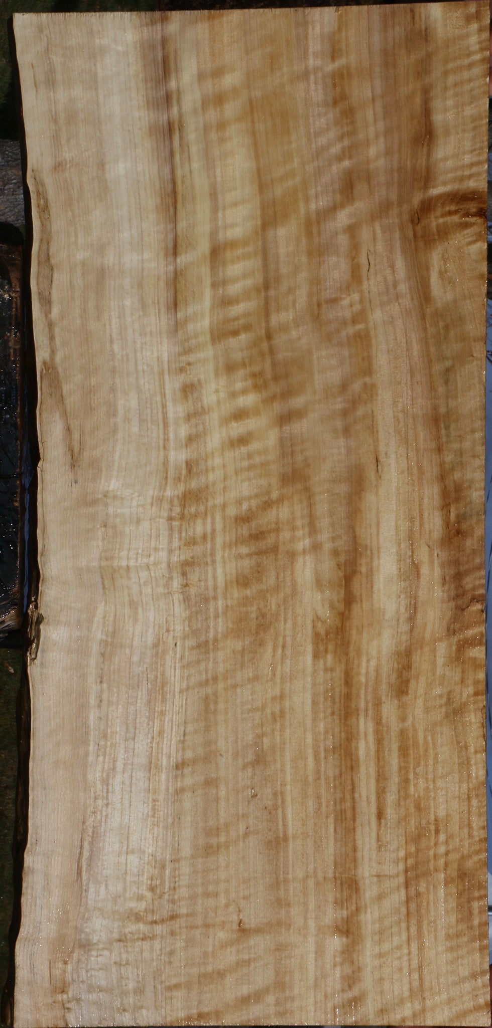 Extra Fancy Black Cottonwood Live Edge Lumber