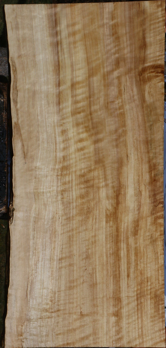 Extra Fancy Black Cottonwood Live Edge Lumber