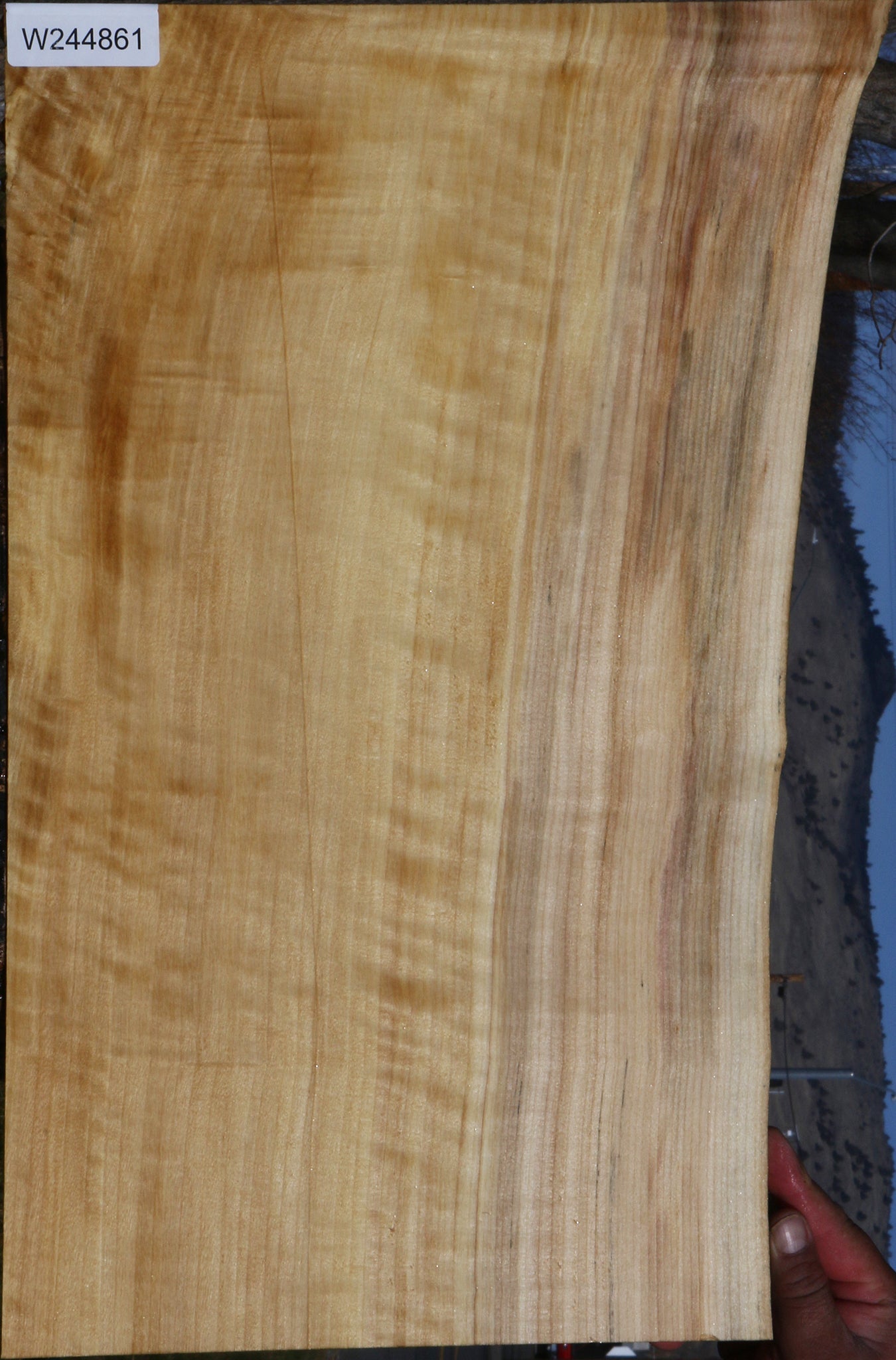 Black Cottonwood Live Edge Lumber