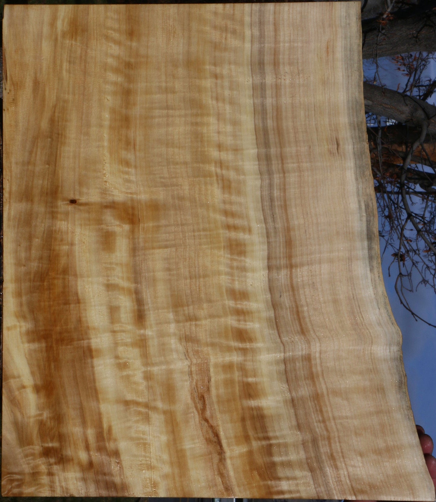 Extra Fancy Black Cottonwood Live Edge Lumber
