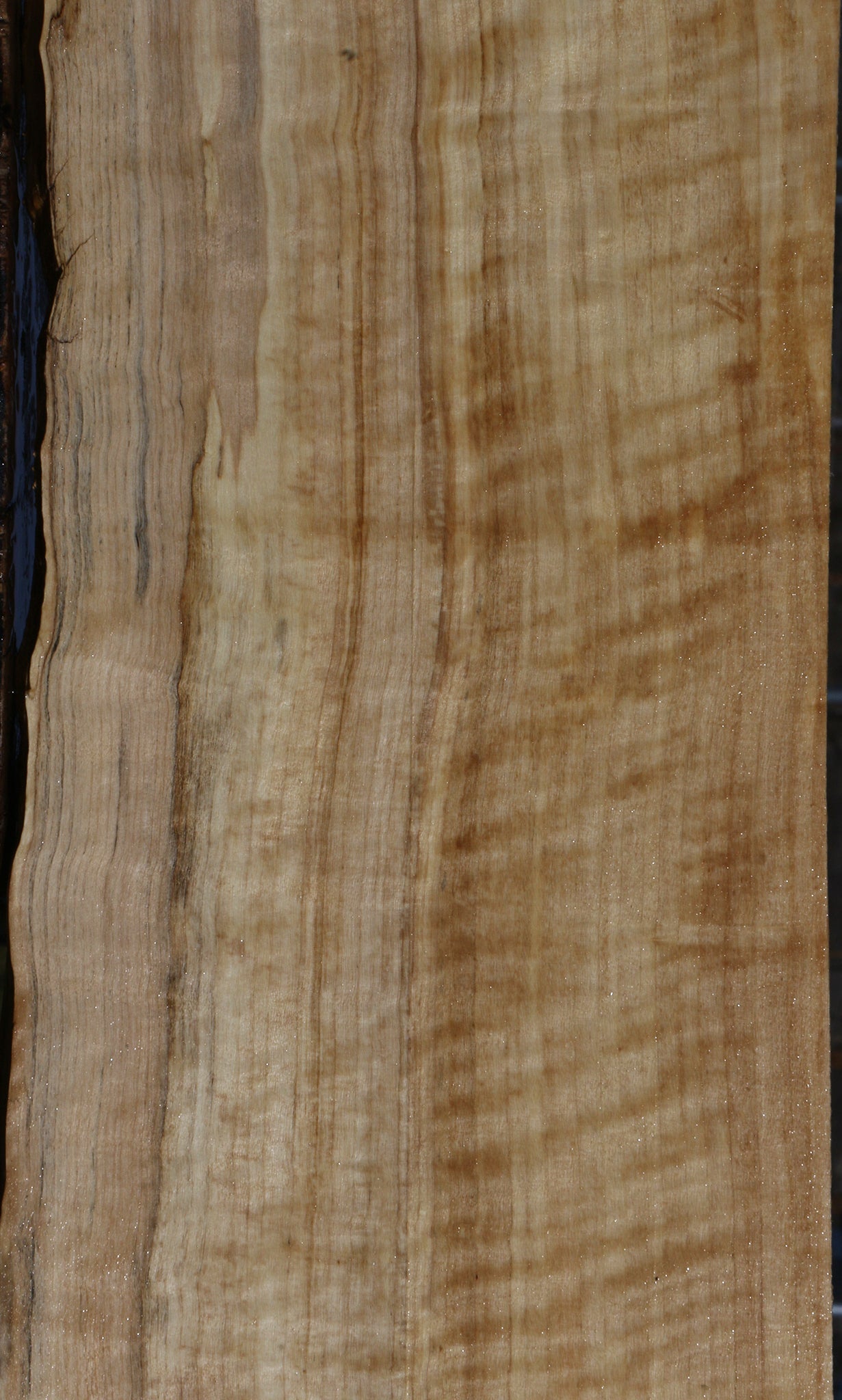 Extra Fancy Black Cottonwood Live Edge Lumber