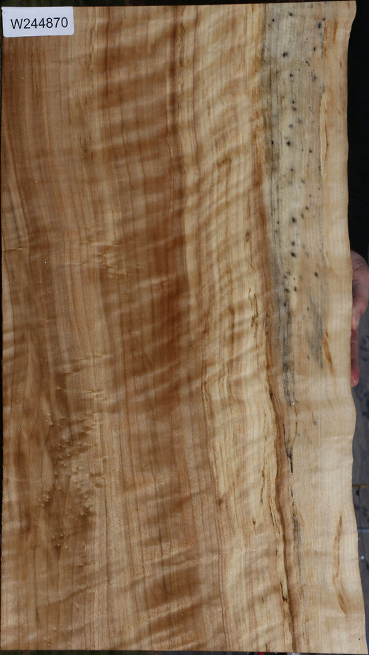 Extra Fancy Black Cottonwood Live Edge Lumber