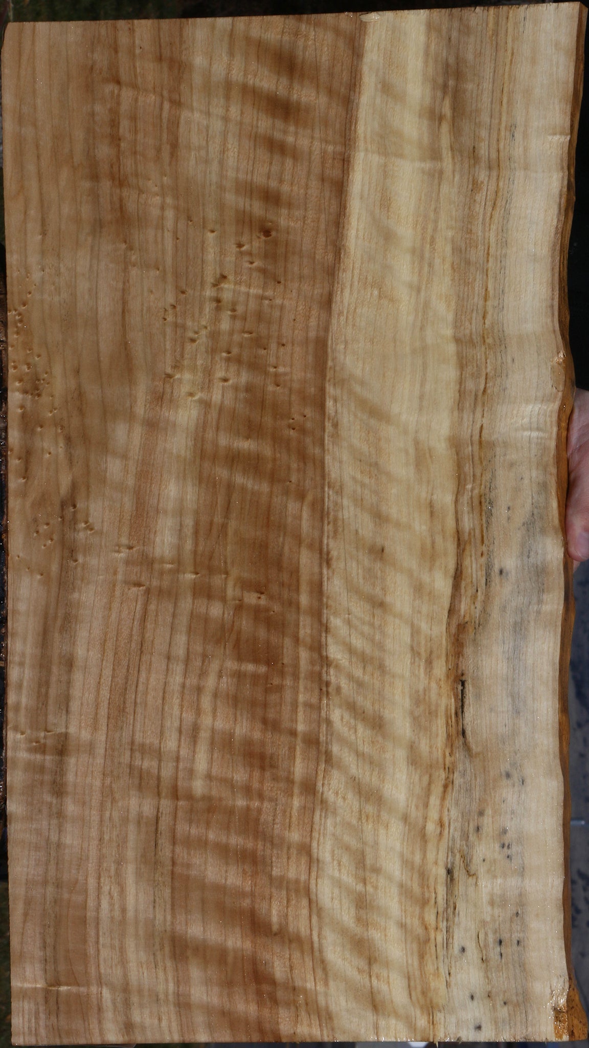 Extra Fancy Black Cottonwood Live Edge Lumber