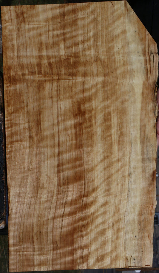 Extra Fancy Black Cottonwood Live Edge Lumber