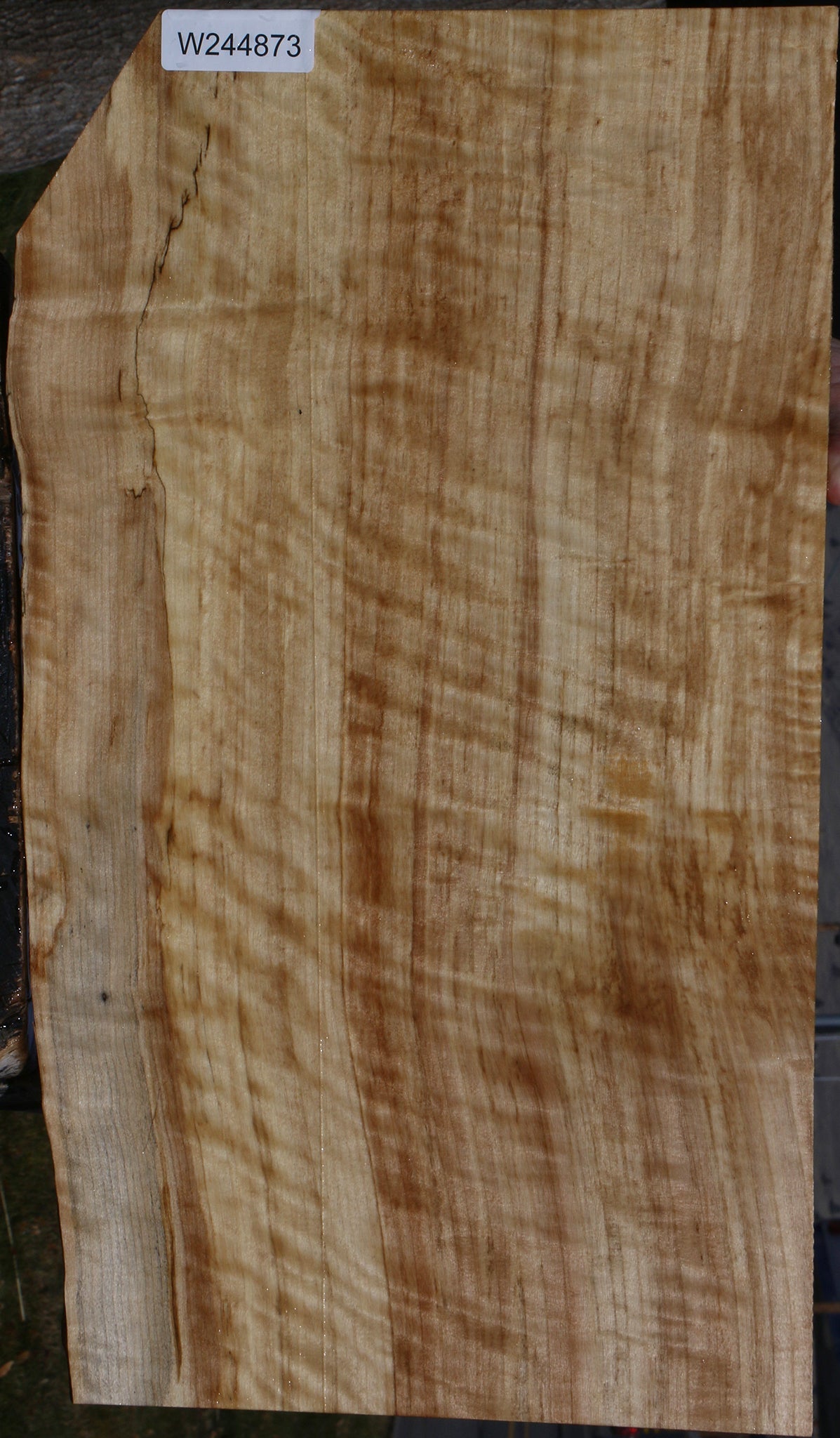 Extra Fancy Black Cottonwood Live Edge Lumber