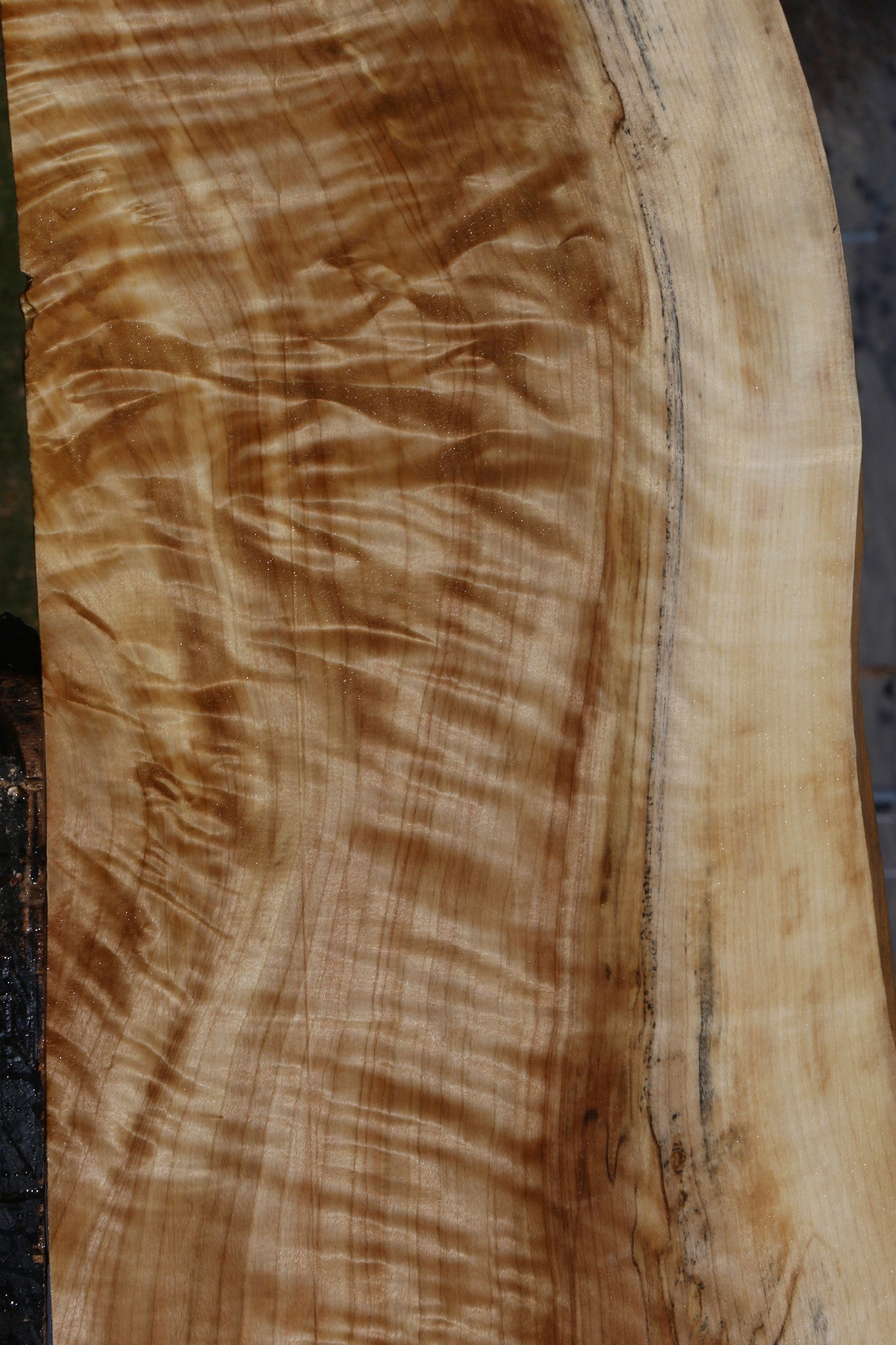 Extra Fancy Black Cottonwood Live Edge Lumber