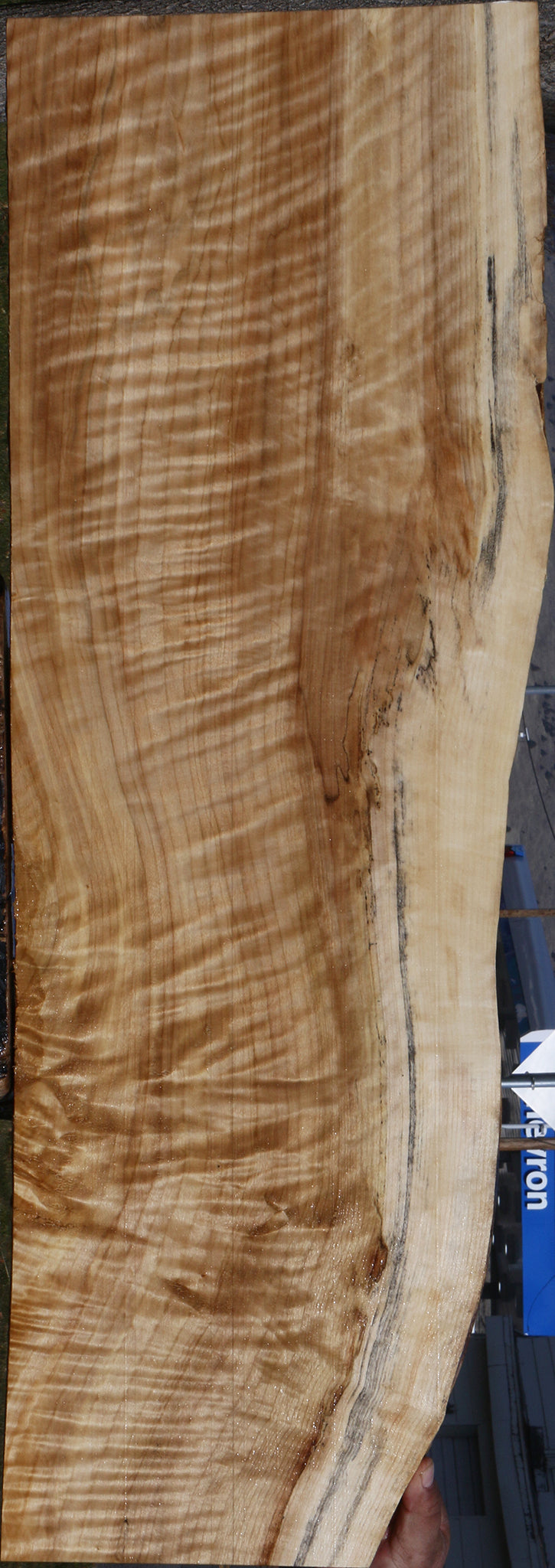 Extra Fancy Black Cottonwood Live Edge Lumber