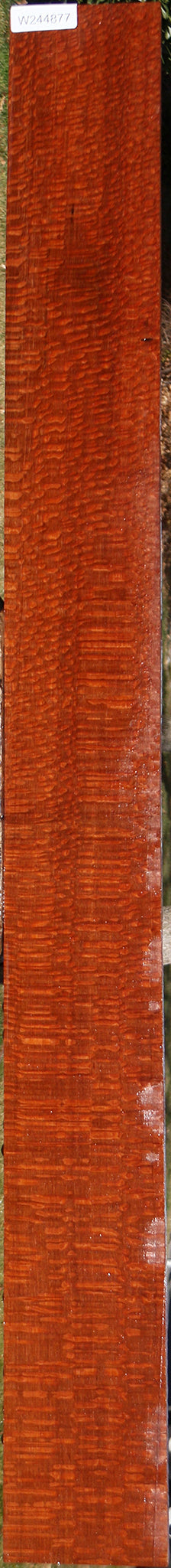 Extra Fancy Leopardwood Lumber