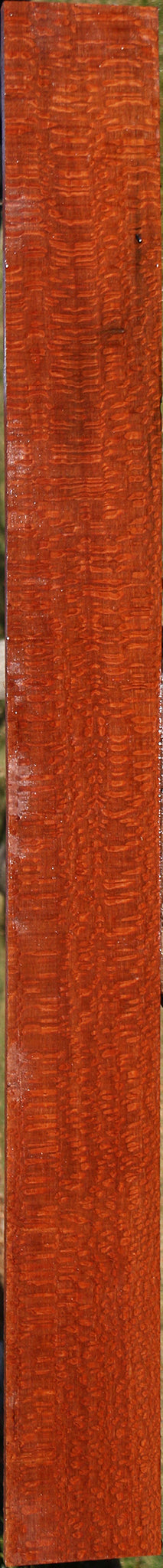 Extra Fancy Leopardwood Lumber
