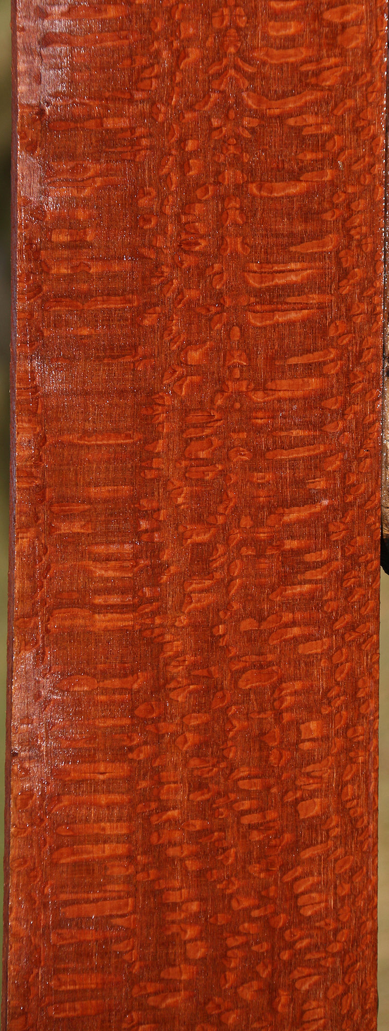 Extra Fancy Leopardwood Lumber