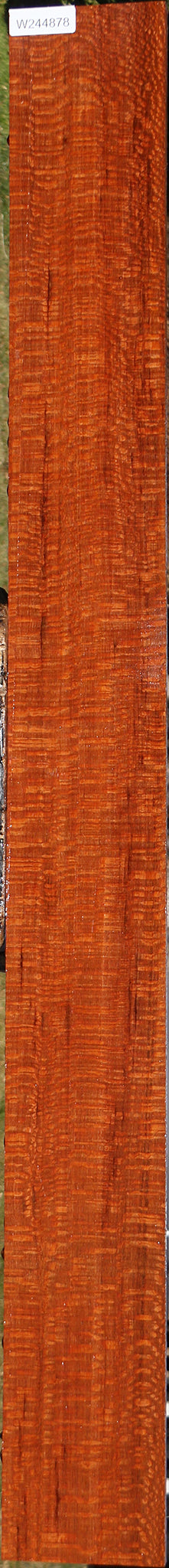 Extra Fancy Leopardwood Lumber