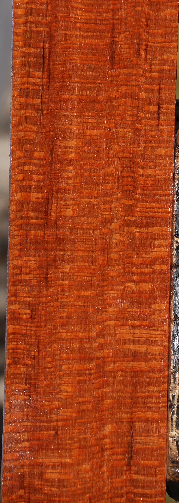 Extra Fancy Leopardwood Lumber