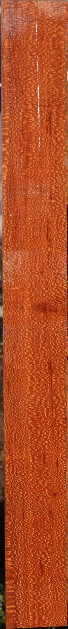 Extra Fancy Leopardwood Lumber