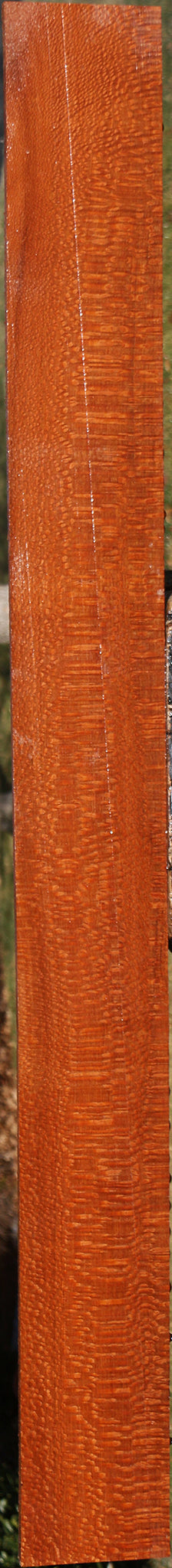 Extra Fancy Leopardwood Lumber