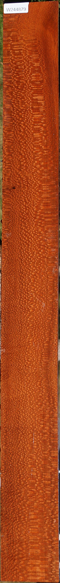 Extra Fancy Leopardwood Lumber