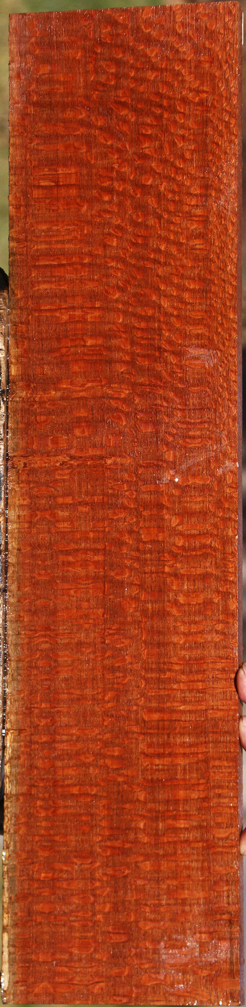 Extra Fancy Leopardwood Lumber