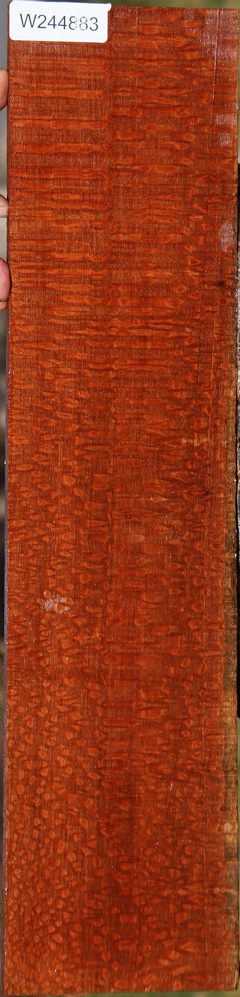 Extra Fancy Leopardwood Lumber