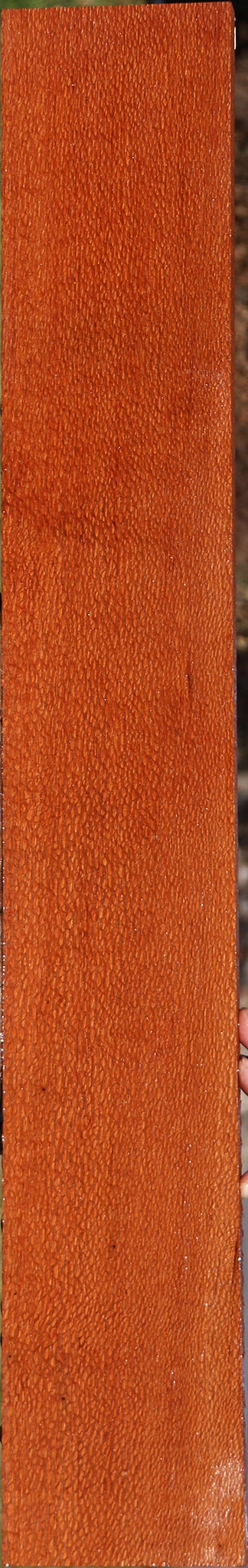 Figured Leopardwood Lumber