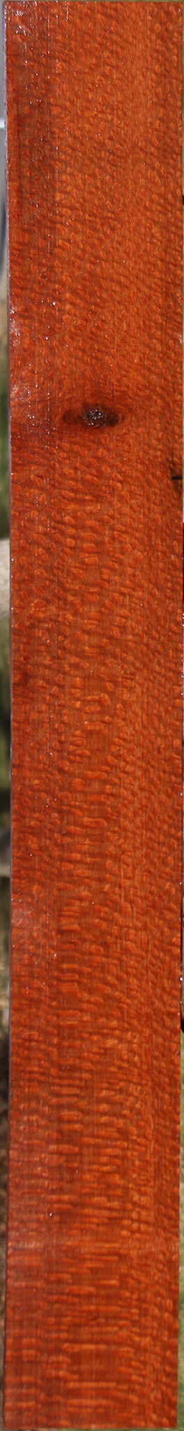 Extra Fancy Leopardwood Lumber