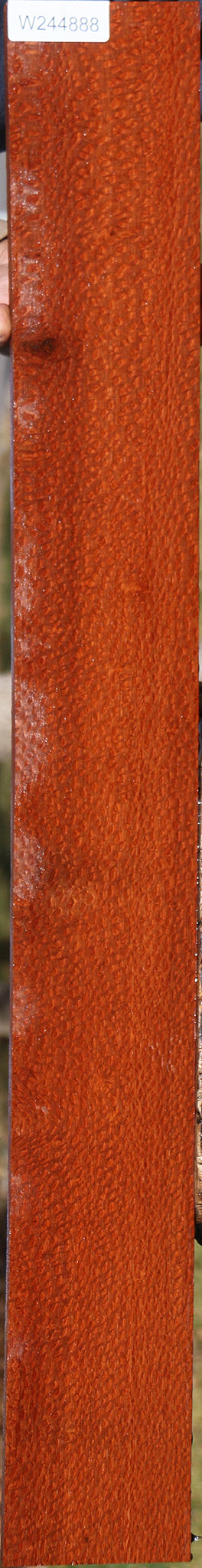 Extra Fancy Leopardwood Lumber