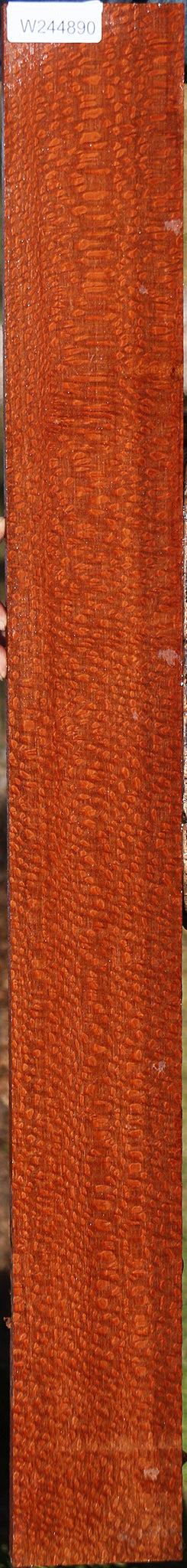 Extra Fancy Leopardwood Lumber