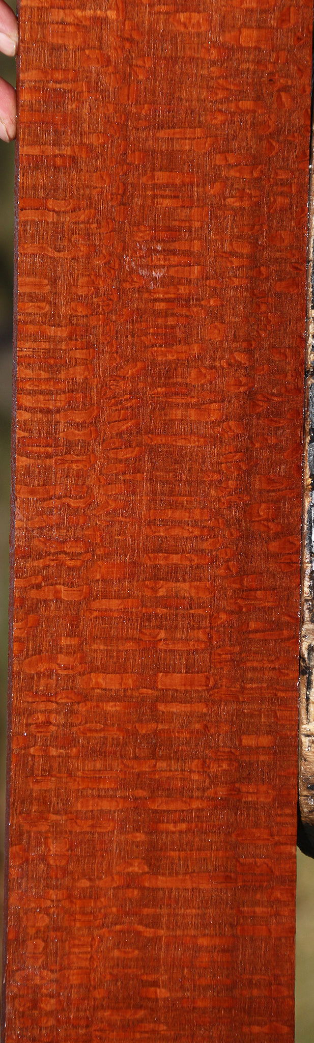 Extra Fancy Leopardwood Lumber