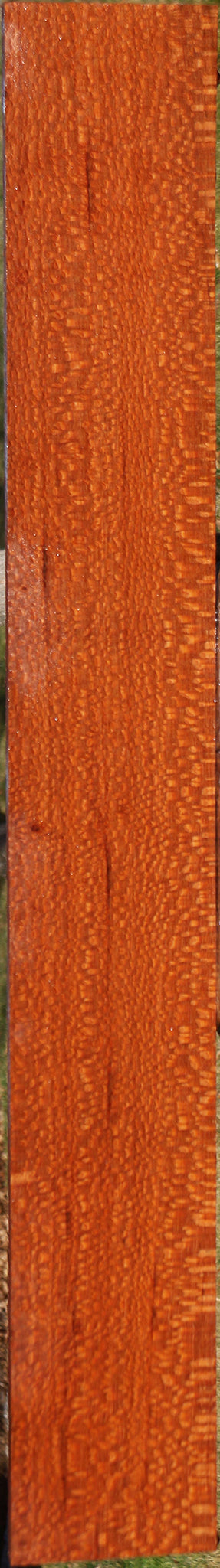 Extra Fancy Leopardwood Lumber
