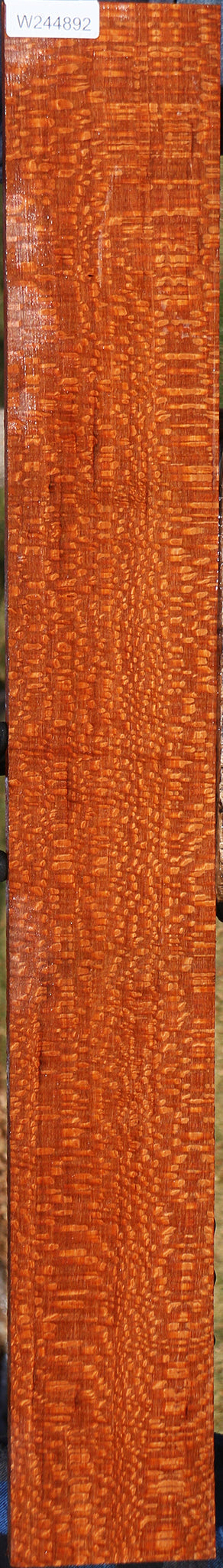 Extra Fancy Leopardwood Lumber