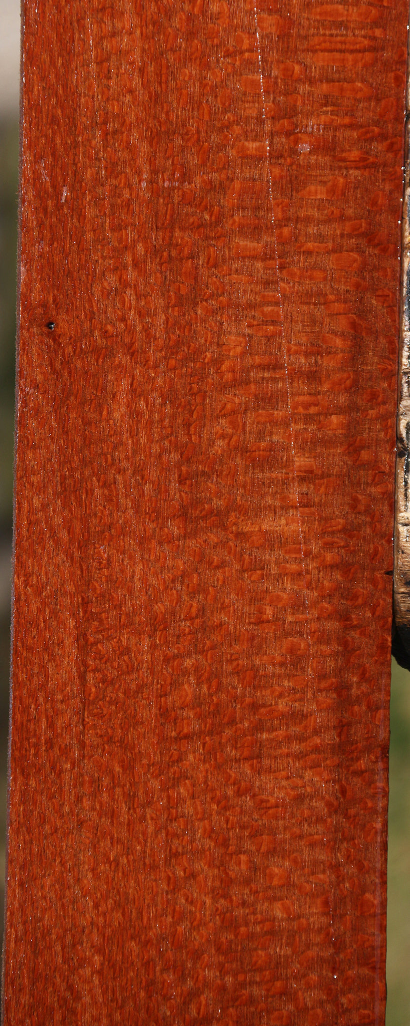 Extra Fancy Leopardwood Lumber
