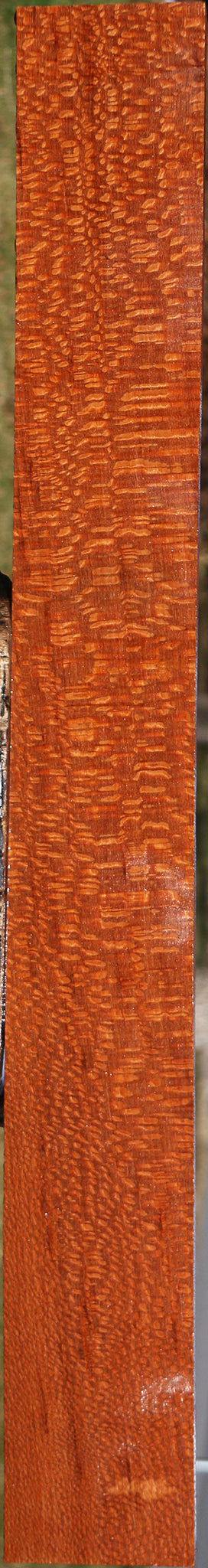 Extra Fancy Leopardwood Lumber