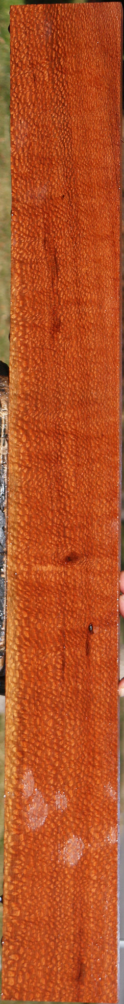 Extra Fancy Leopardwood Lumber