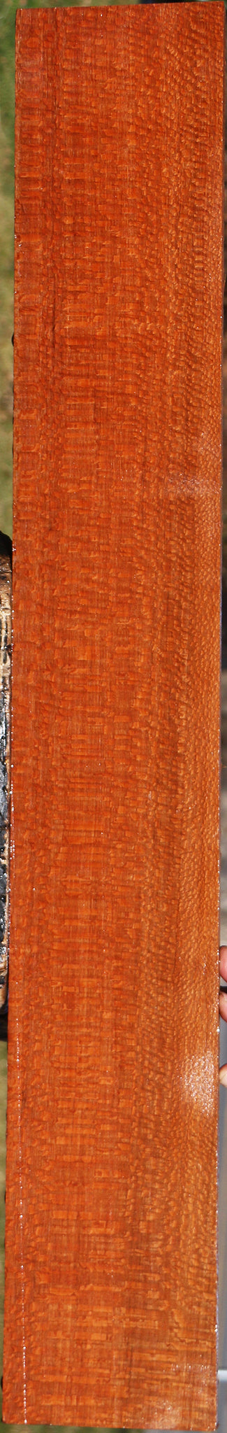 Extra Fancy Leopardwood Lumber