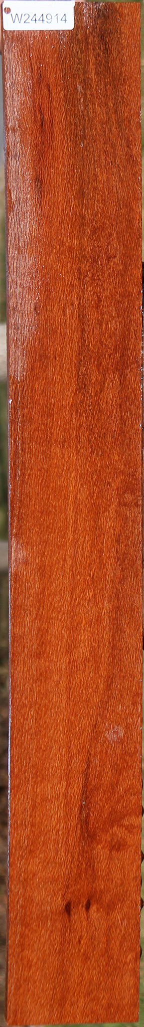 Leopardwood Lumber
