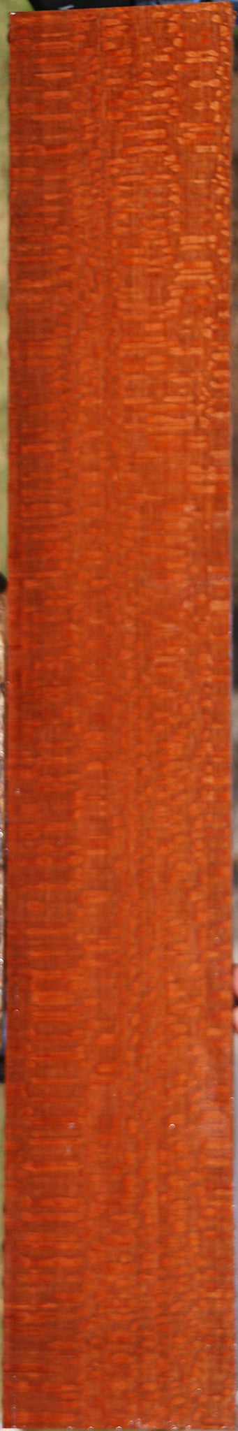 Extra Fancy Leopardwood Lumber