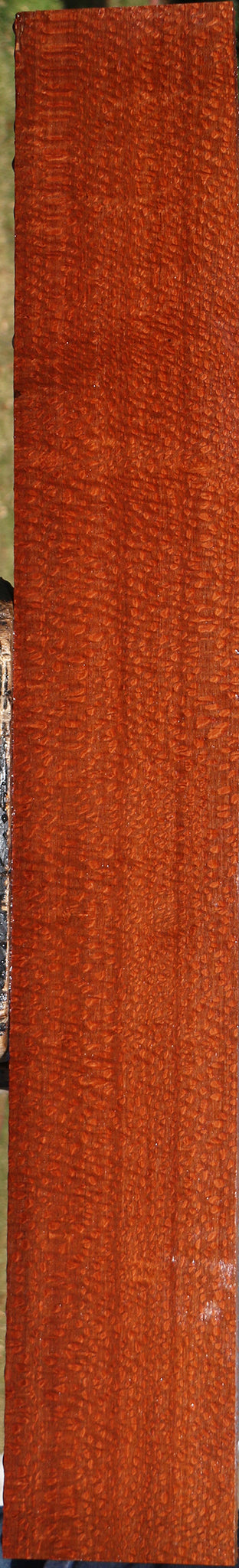 Extra Fancy Leopardwood Lumber