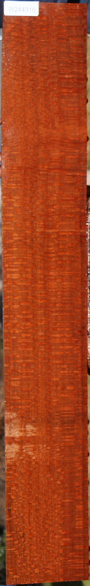 Extra Fancy Leopardwood Lumber