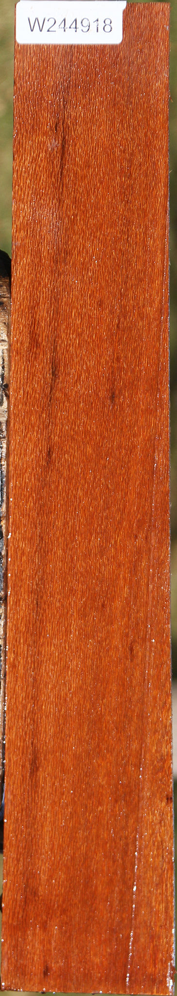 Leopardwood Lumber