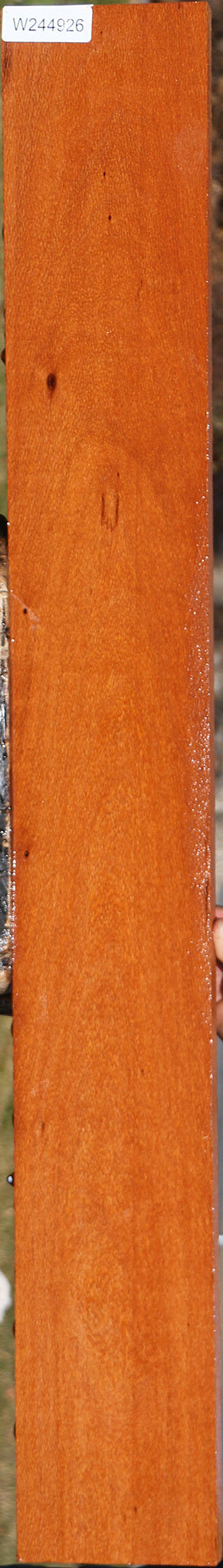Leopardwood Lumber