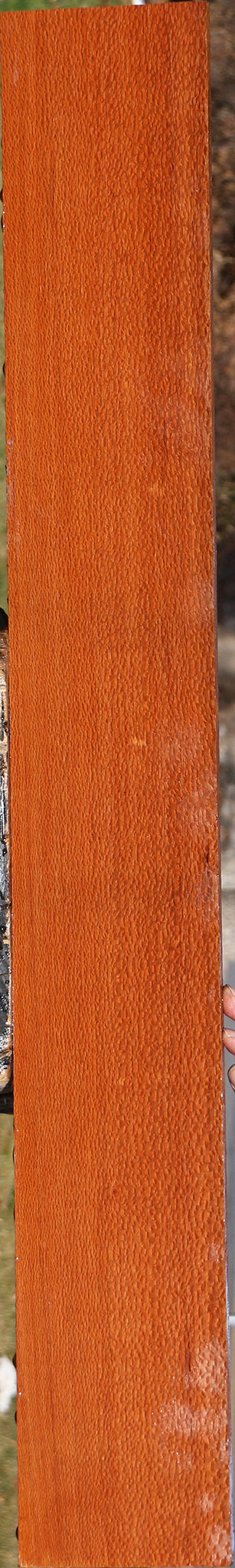 Figured Leopardwood Lumber