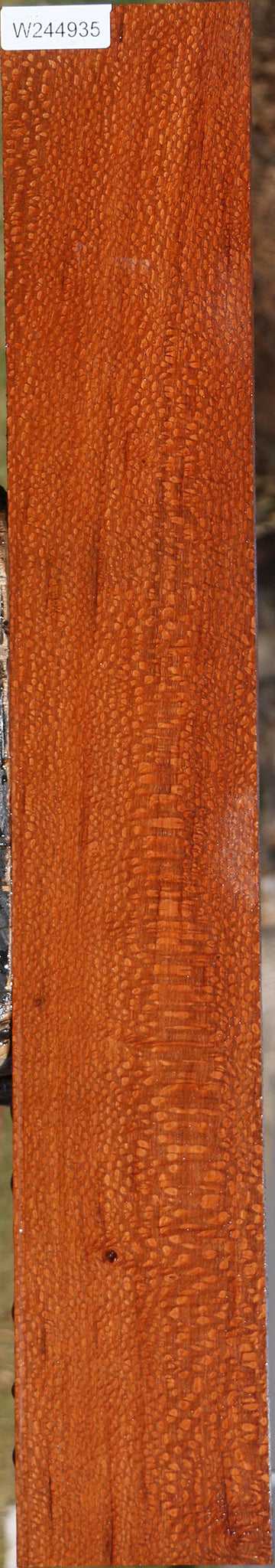 Extra Fancy Leopardwood Lumber