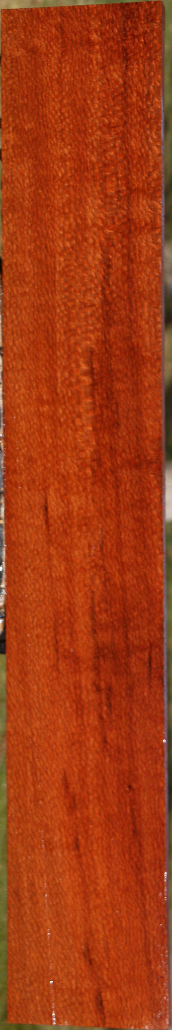 Extra Fancy Leopardwood Lumber