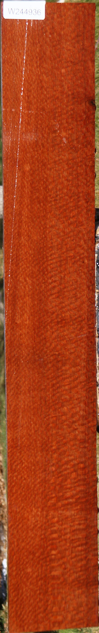 Extra Fancy Leopardwood Lumber