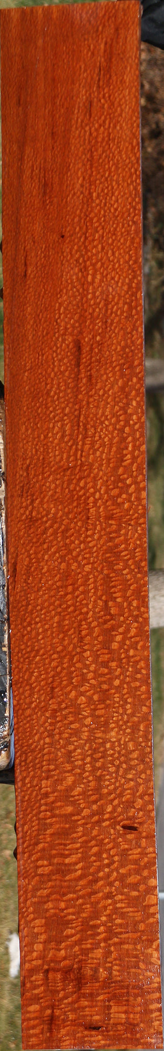 Figured Leopardwood Lumber