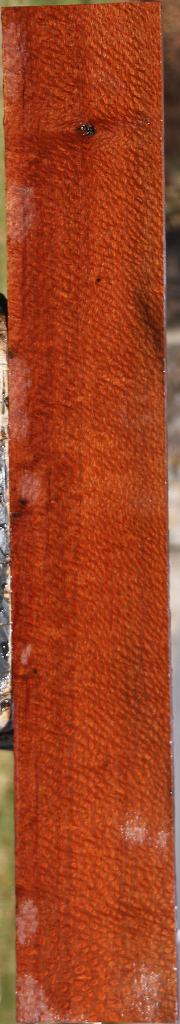 Extra Fancy Leopardwood Lumber