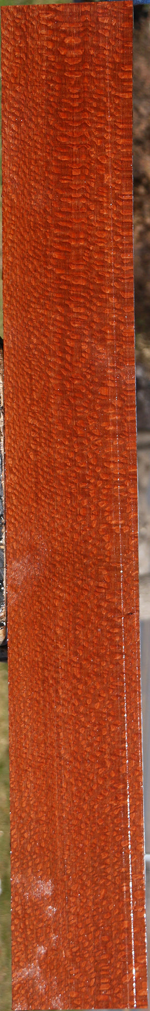 Extra Fancy Leopardwood Lumber