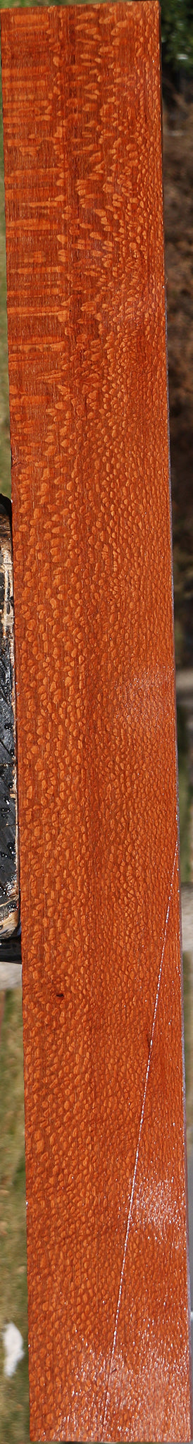 Extra Fancy Leopardwood Lumber