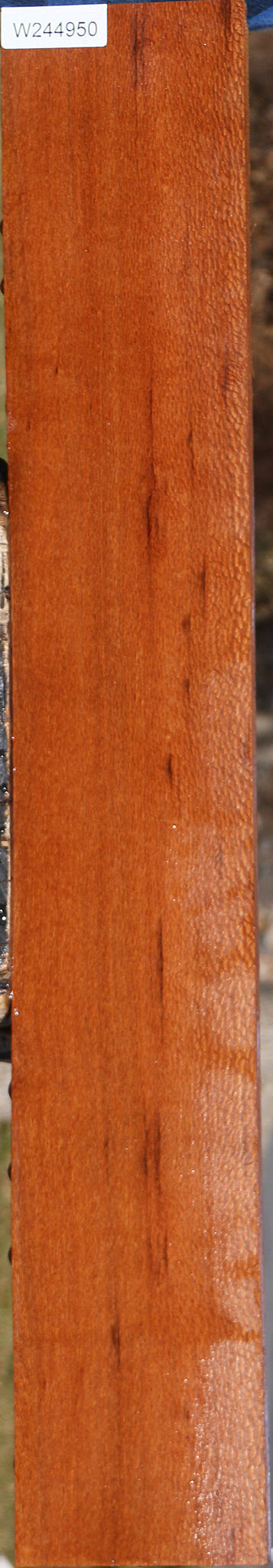 Leopardwood Lumber