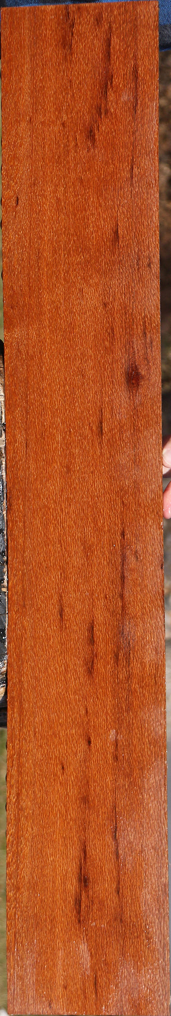 Leopardwood Lumber